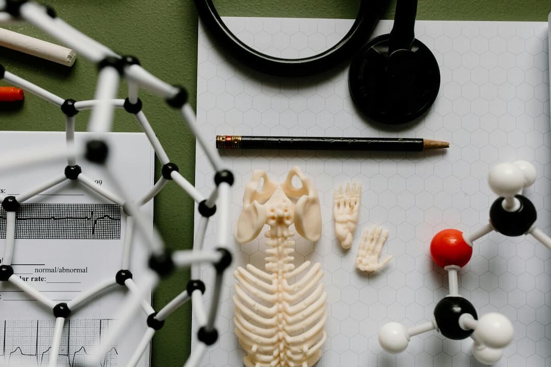 Master's Degree in Nutrition and Food Sciences