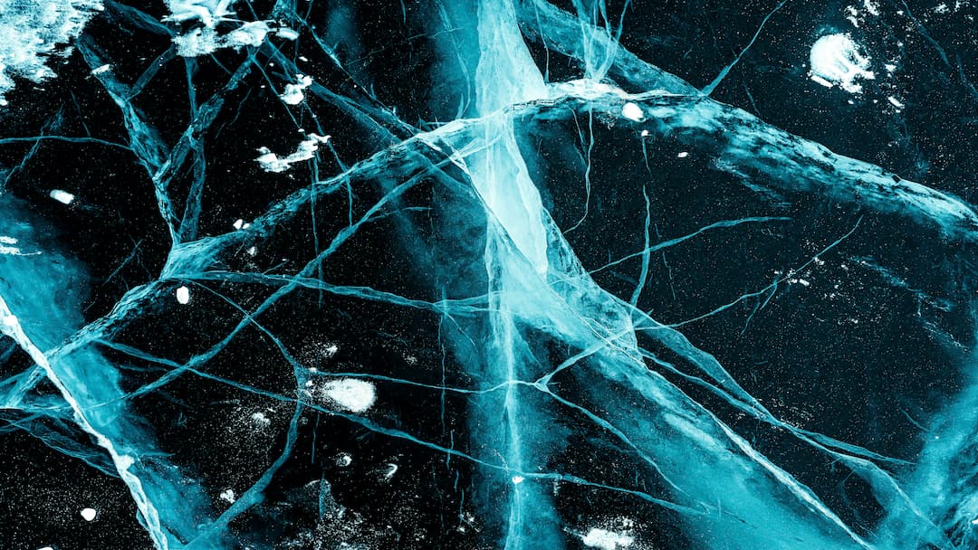 Neuroscience