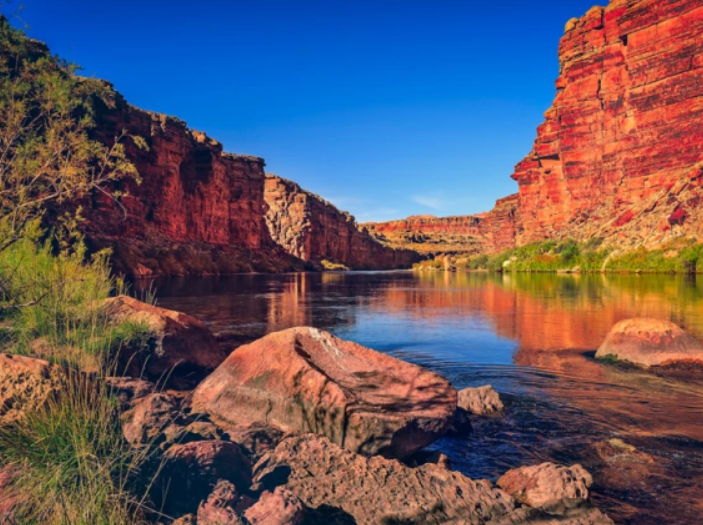 Natural Resources (BS)
