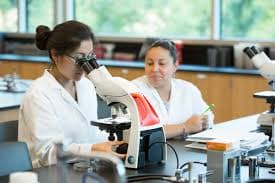 Molecular Biology and Biotechnology
