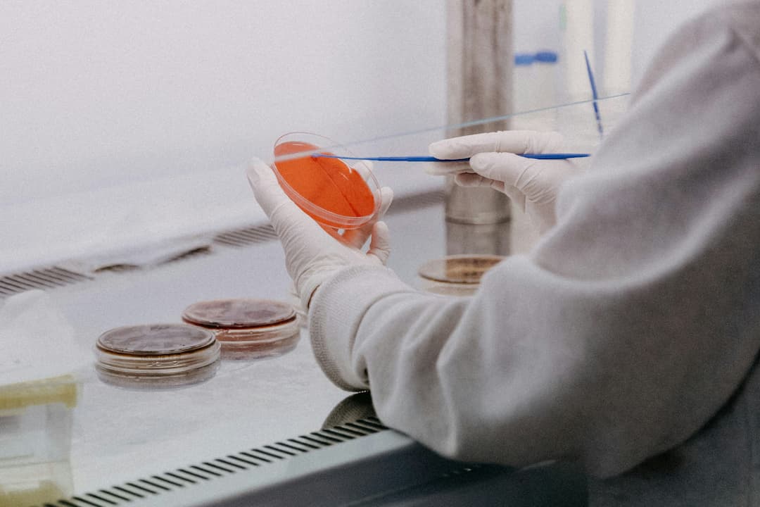 Molecular Biology, Genetics and Bioengineering