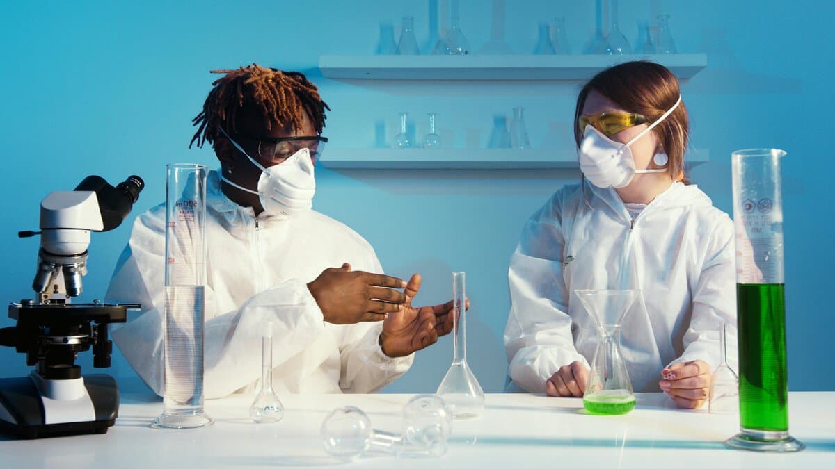 Farmacia (LM-13) - Uni4edu