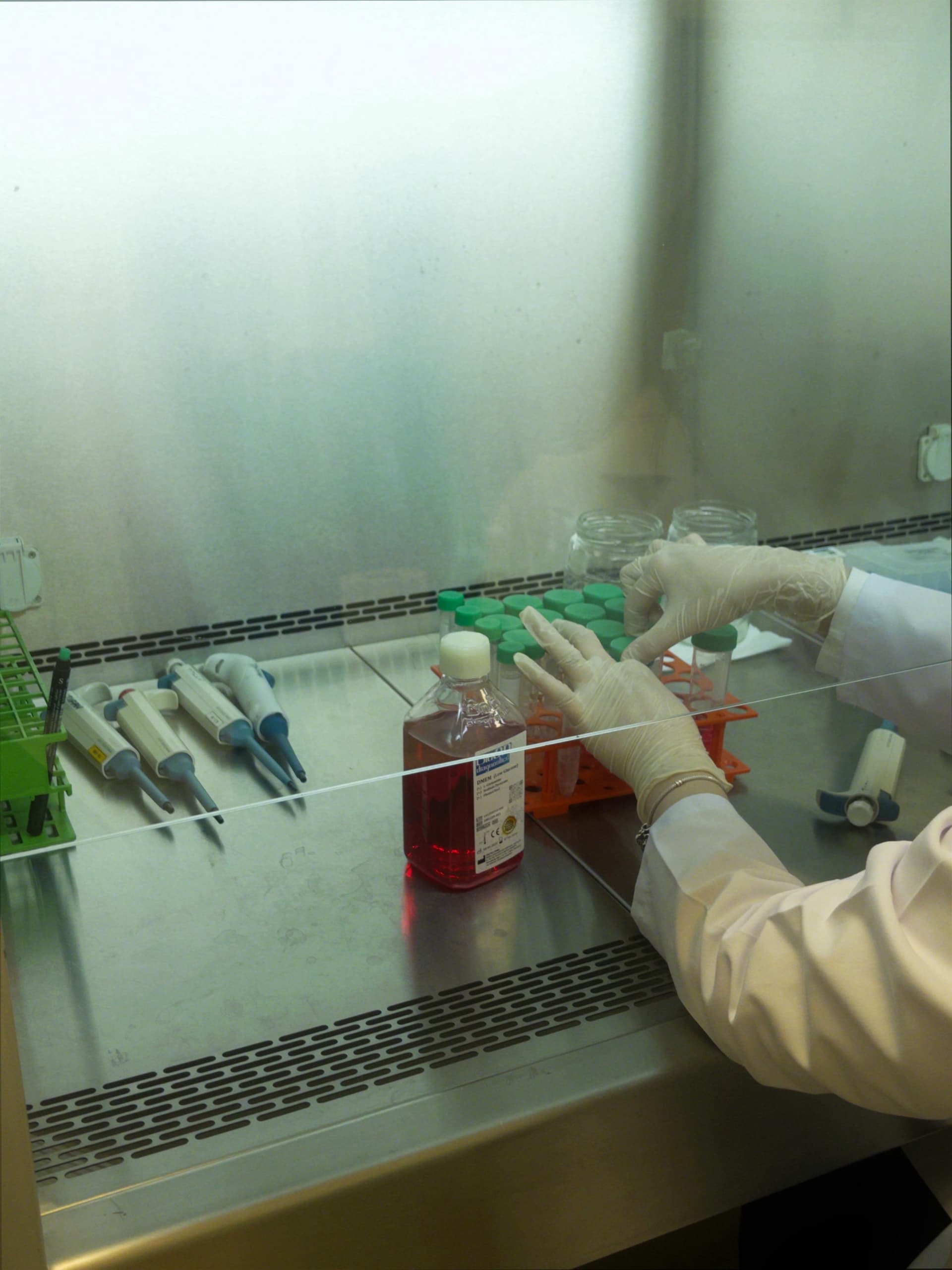 Licence en sciences biologiques - Uni4edu