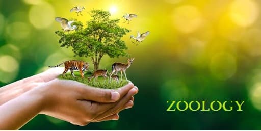 Laurea triennale in Zoologia - Uni4edu