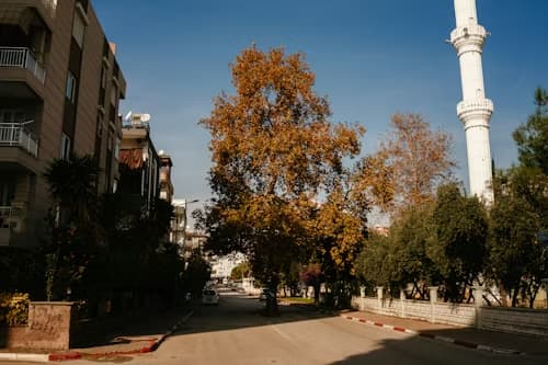 Acıbadem University - Uni4edu