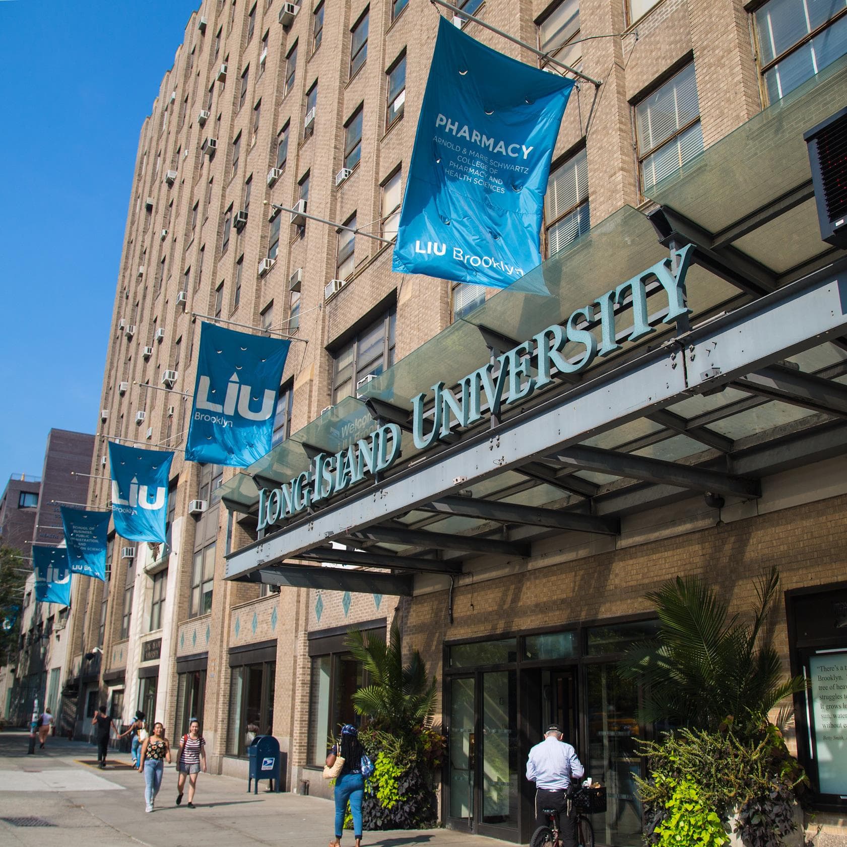 Università di Long Island - Uni4edu