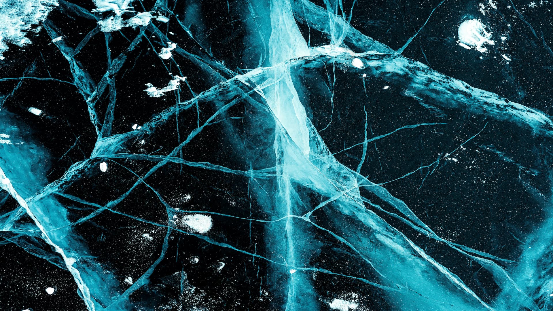 Neuroscience (with Professional Training Year)BSc - Uni4edu