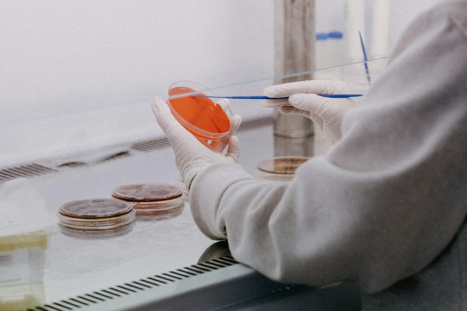 Molecular Biology, Genetics and Bioengineering - Uni4edu