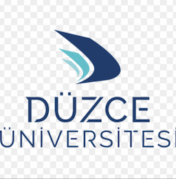 Bachelor of Computer Engineering (English)