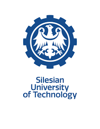 Biomedical Engineering - Information systems in medicine