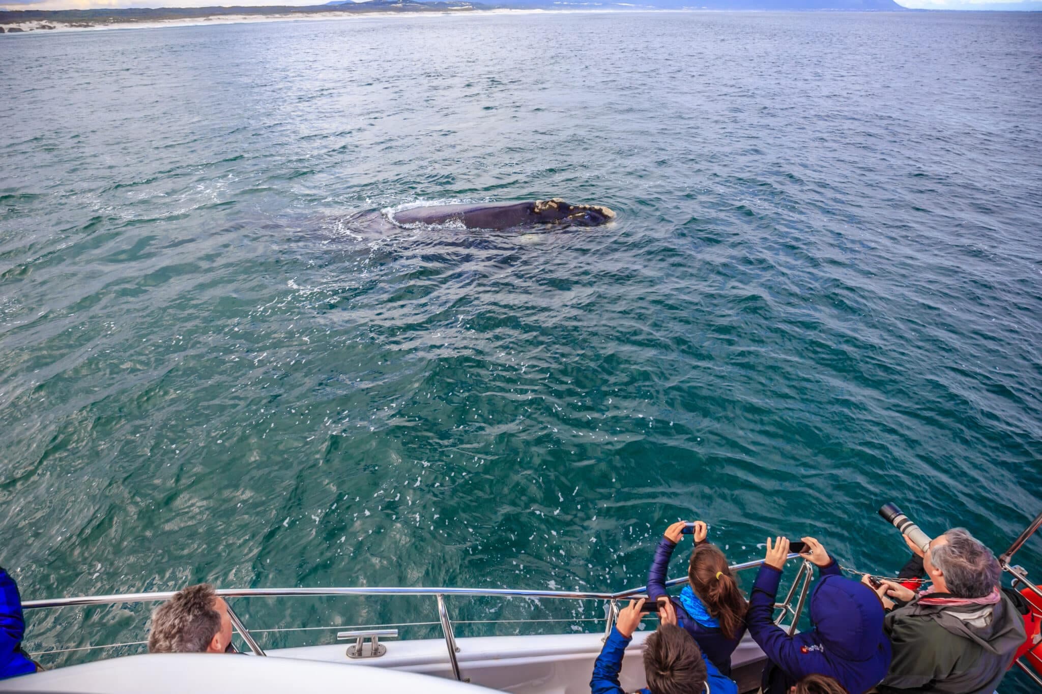 shutterstock_1707691369-2048x1365.jpg_1771914098302