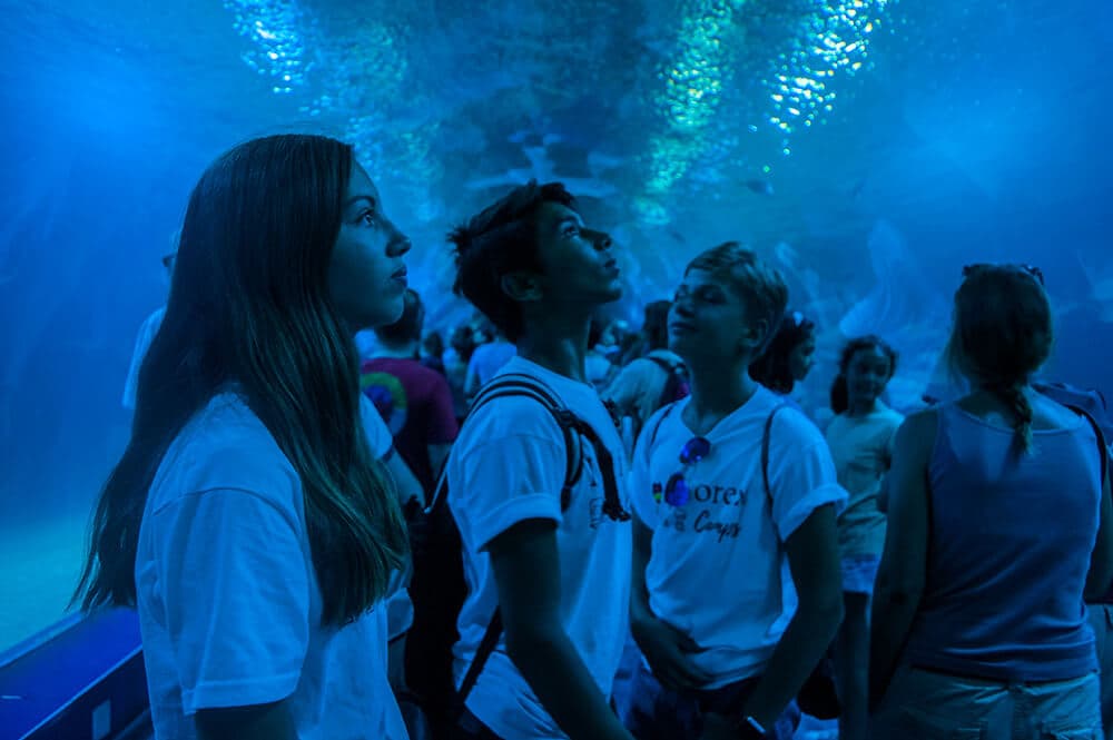 valencia-06.jpg_1774971705146