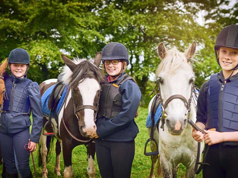 horse.jpg_1776353001680