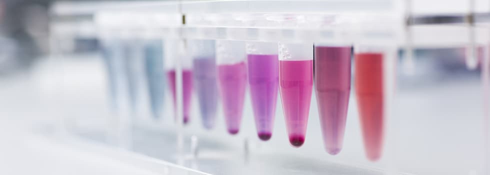 Natural Sciences - Uni4edu