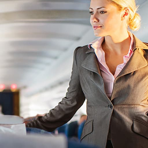 नागरिक विमानन केबिन सेवा कार्यक्रम - Uni4edu