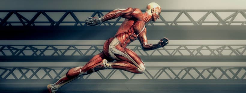 व्यायाम विज्ञान एमएस - Uni4edu