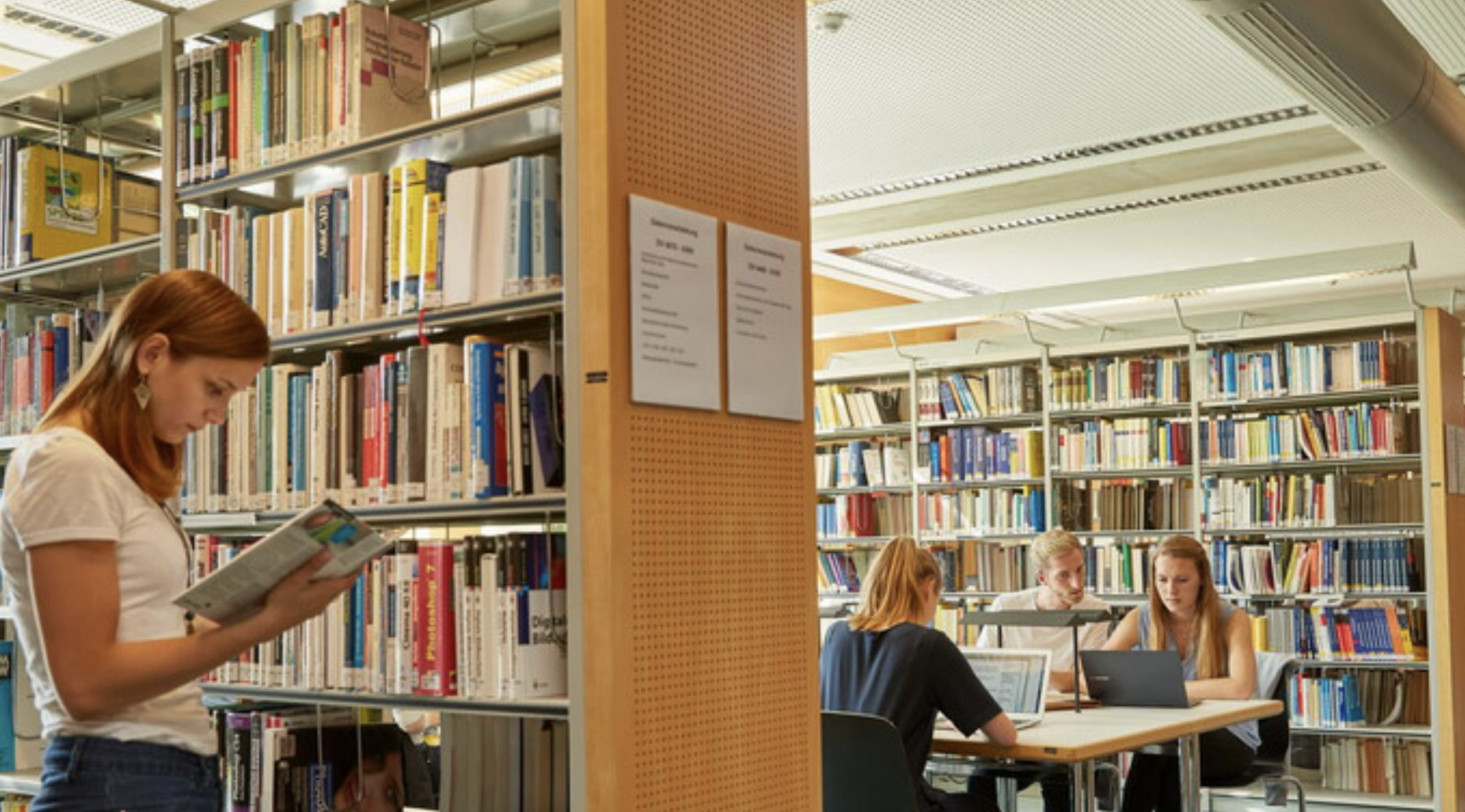 Laurea triennale in studi ambientali e di sostenibilità globali - Uni4edu