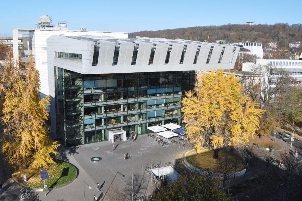 Primary School Teacher - Uni4edu