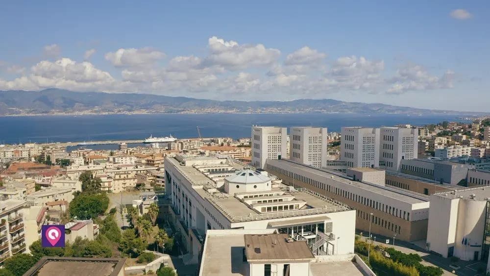 Sports Sciences and Sports Law - Uni4edu