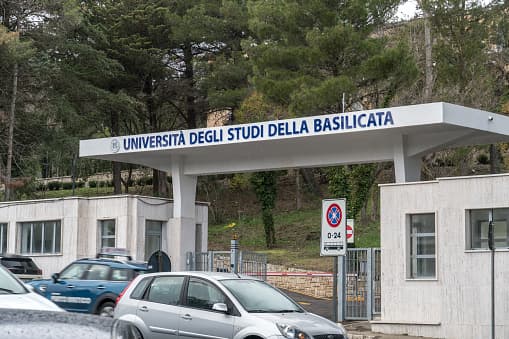 Mhitimu wa Sayansi ya Misitu na Mazingira - Uni4edu