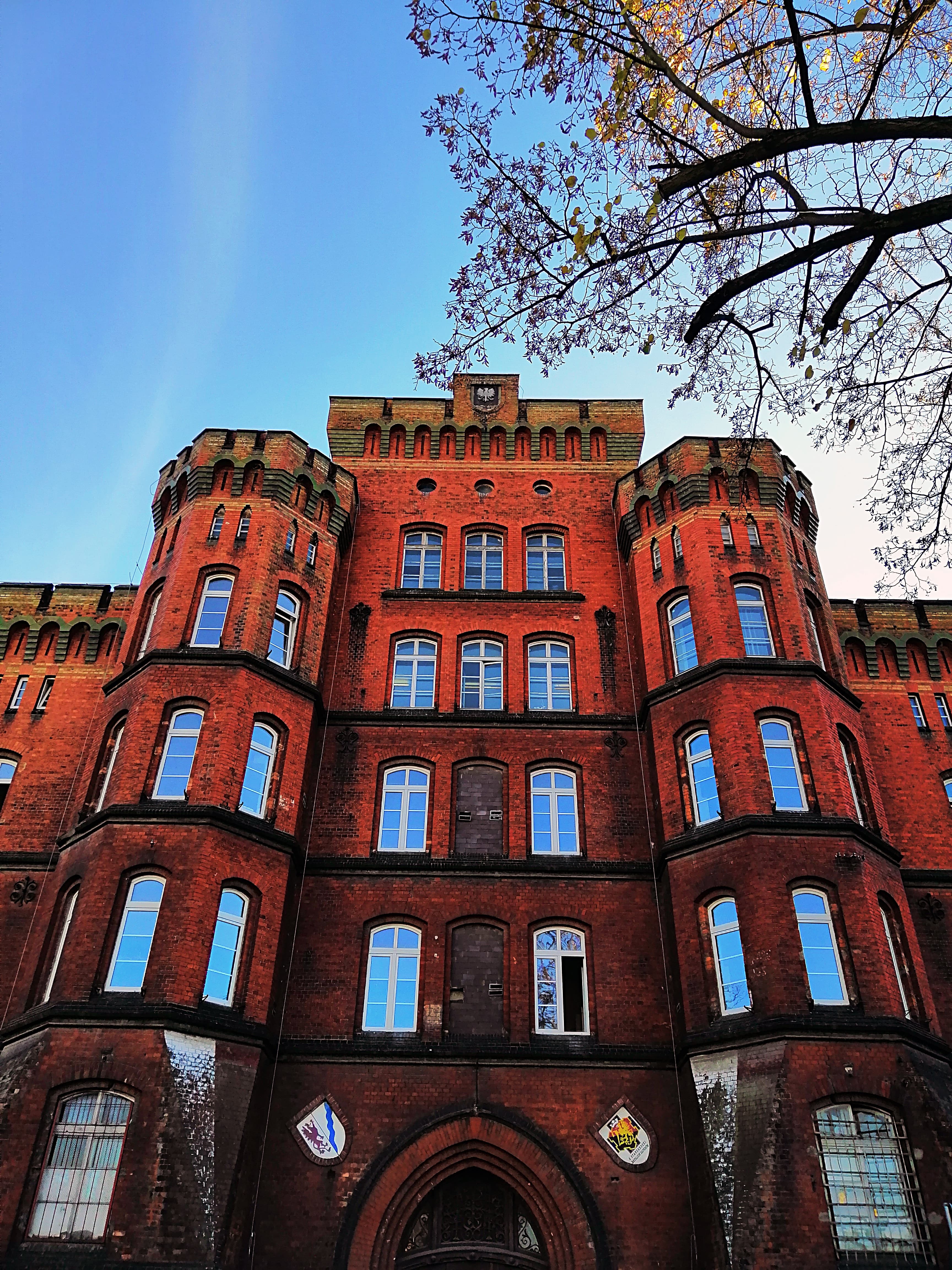 पत्रकारिता - Uni4edu