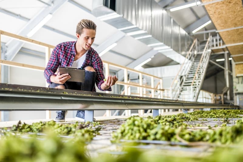 Éducation agricole - Spécialisation en recherche (MSc) - Uni4edu