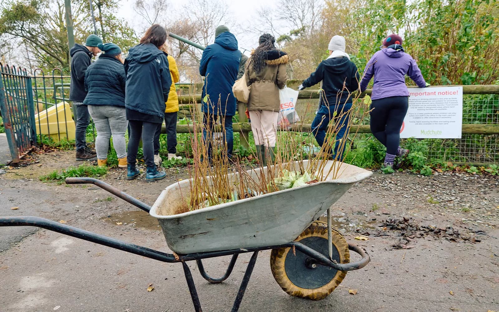 التصميم البيئي المستدام والتجديدي - ماجستير - Uni4edu