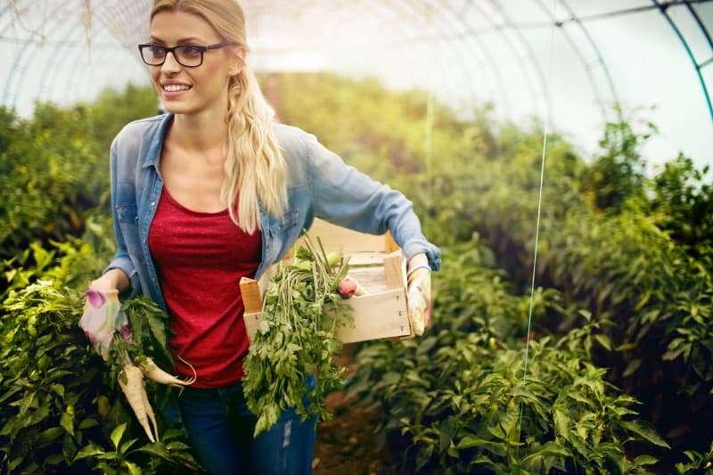 Food Studies (BA) - Uni4edu