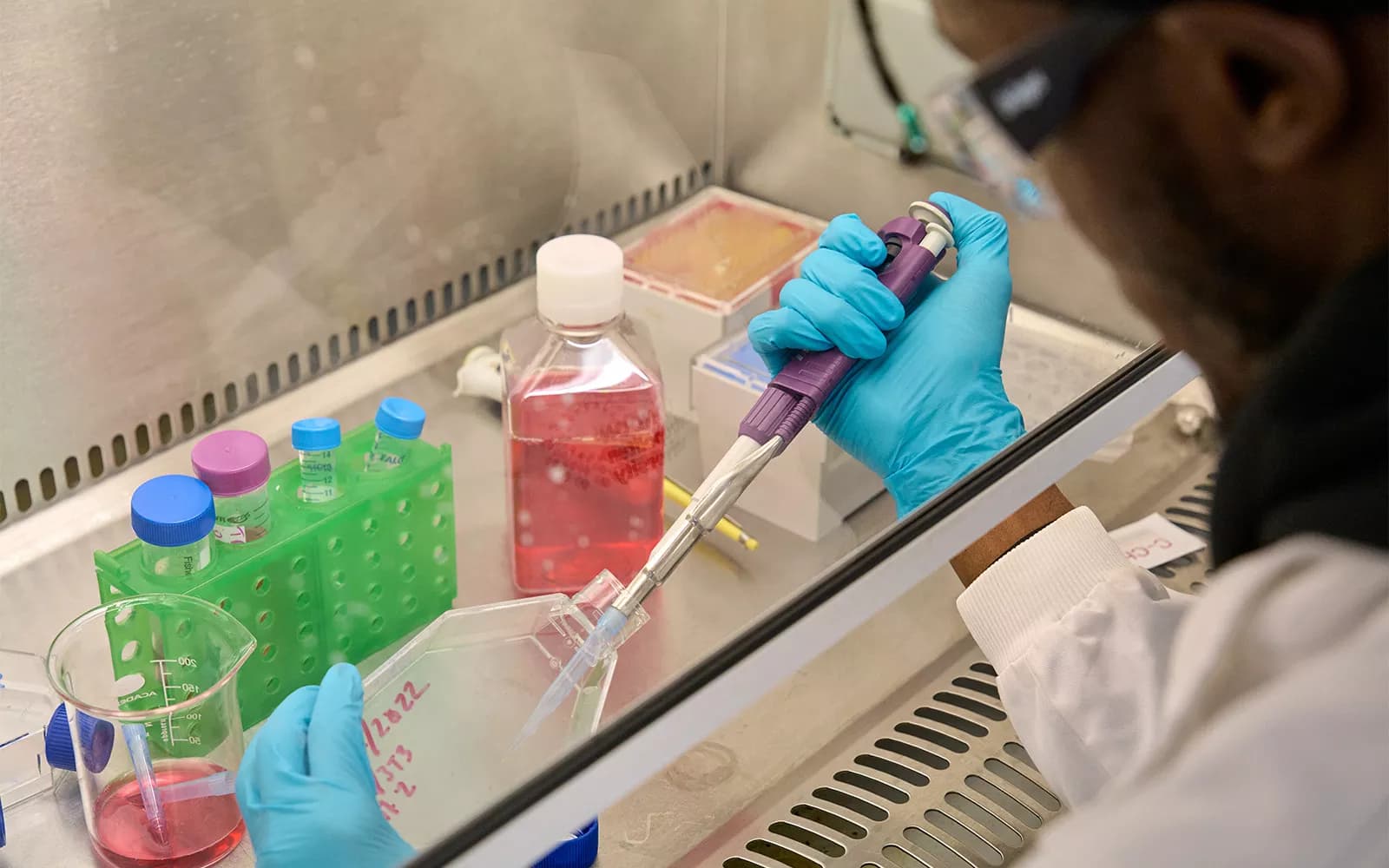 Adli Bilimler (hazırlık yılı dahil) - BSc (Hons) - Uni4edu