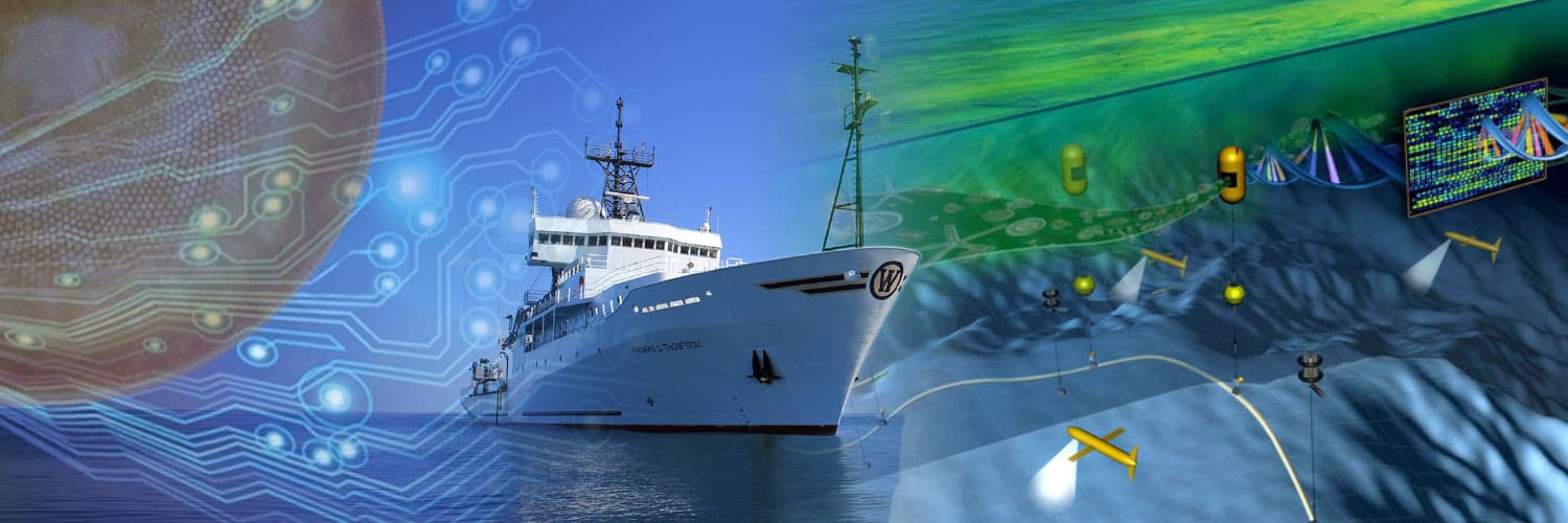 Marine Biology MSci - Uni4edu