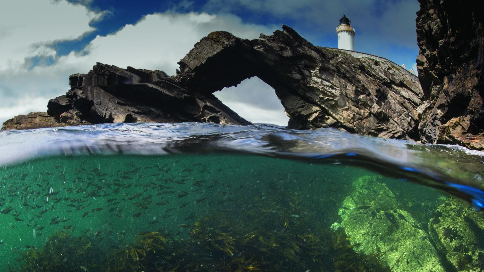 Marine Science and Conservation BSc (Hons) - Uni4edu