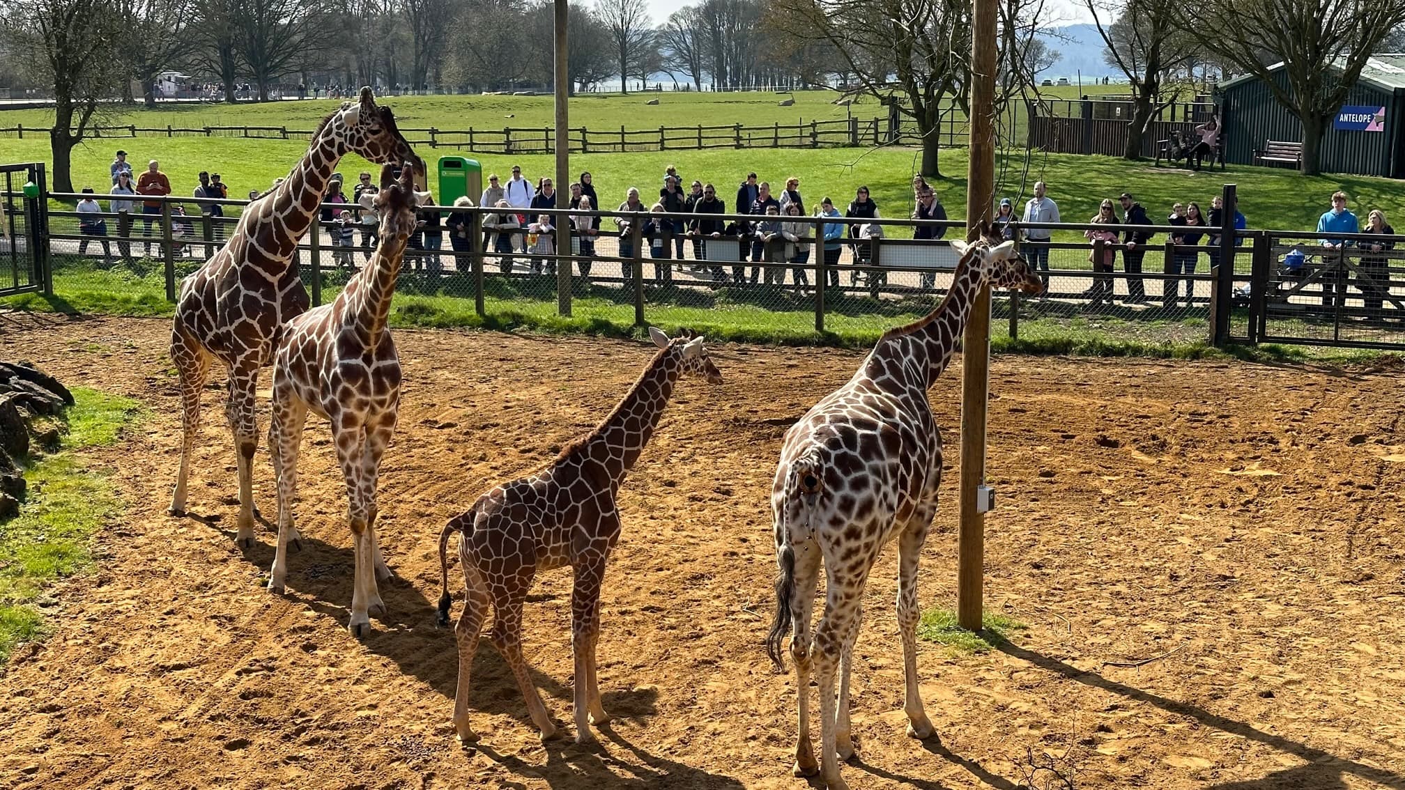 Zoology with Conservation BSc (Hons) - Uni4edu
