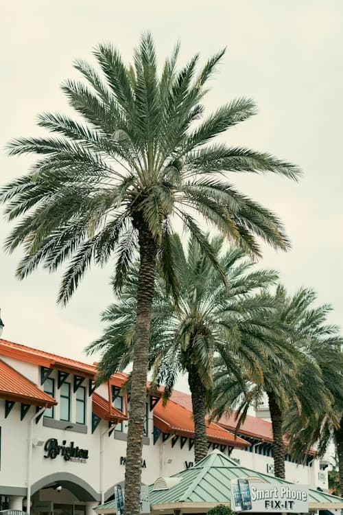 フロリダアトランティック大学 - Uni4edu