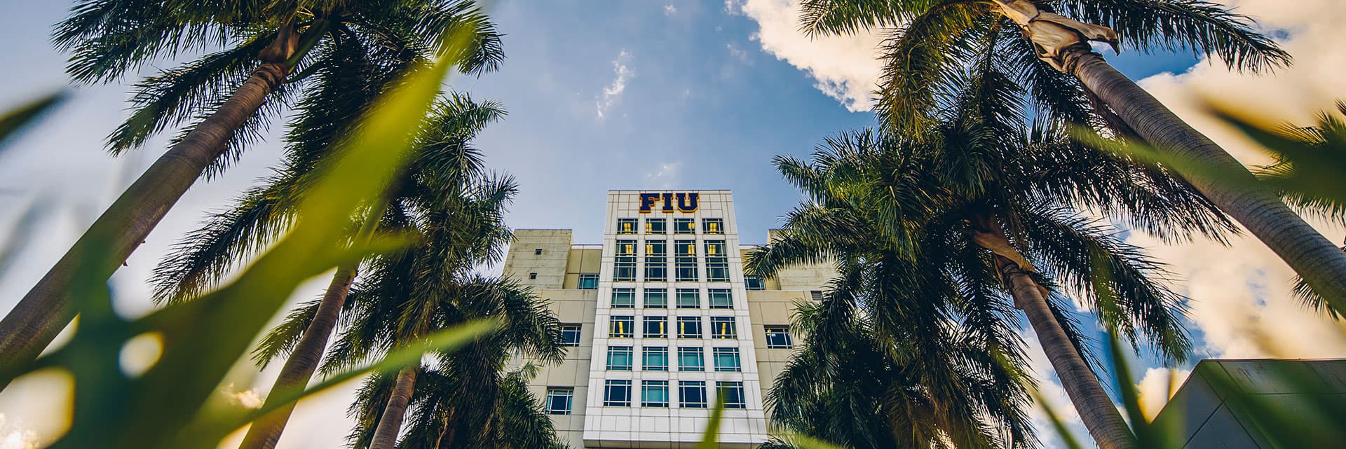 Universidad Internacional de Florida - Uni4edu