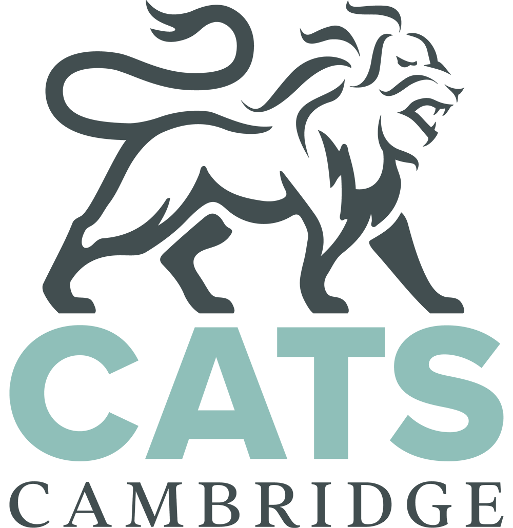 University Foundation Programme