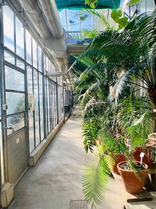 Universität Bochum (Ruhr-Universität Bochum) - Uni4edu