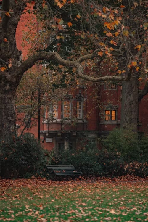 Universidad de Sunderland en Londres - Uni4edu