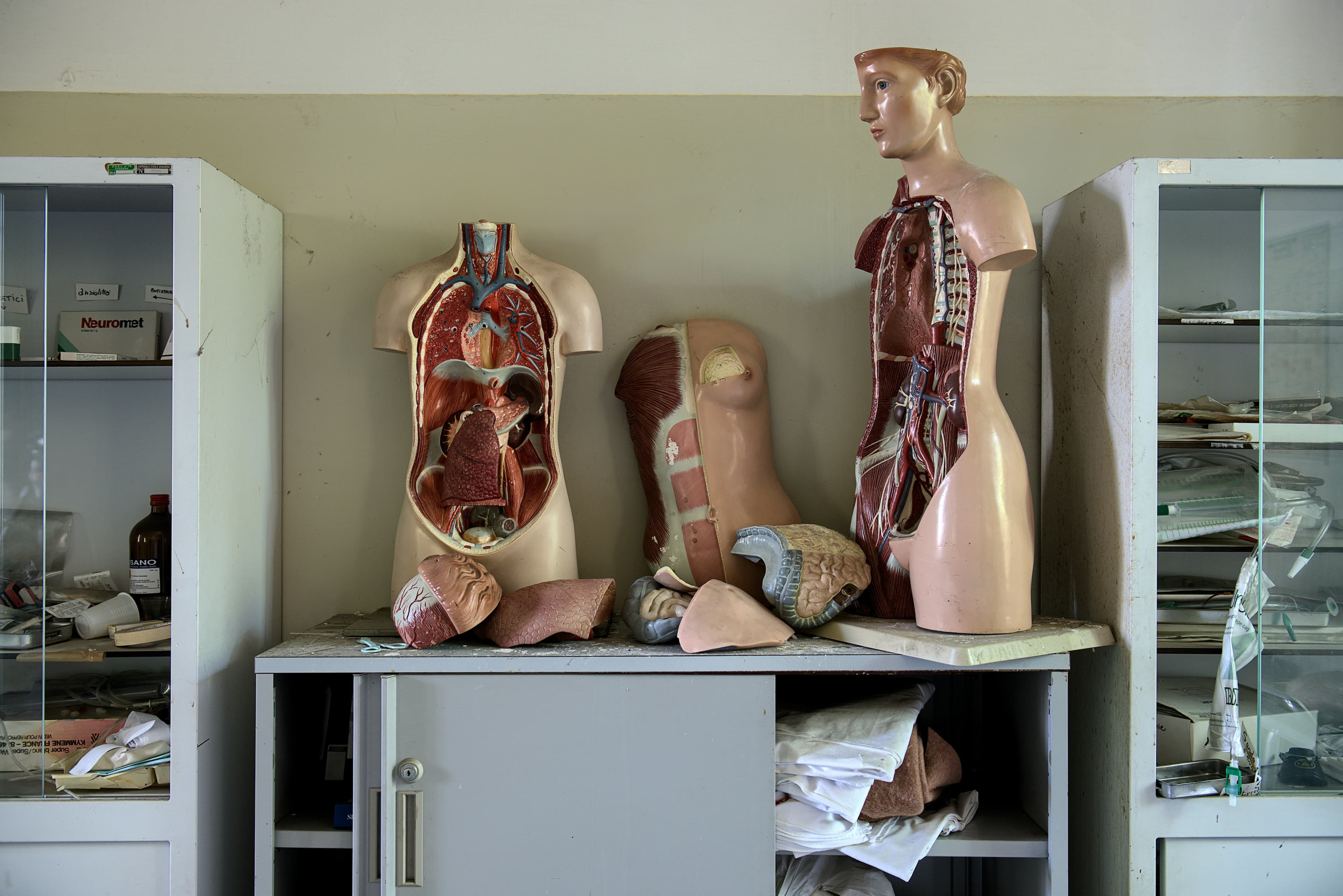 Biology MSc by Research - Uni4edu