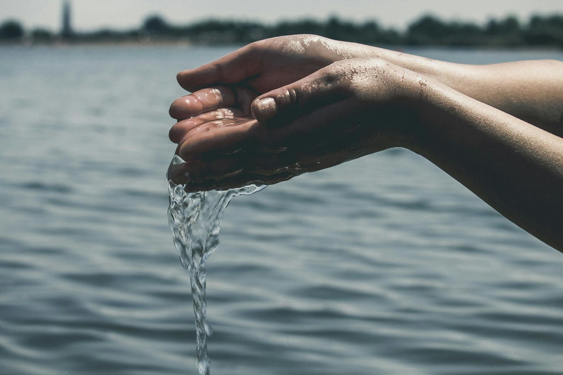 Climate Change, Management and Finance MSc - Uni4edu