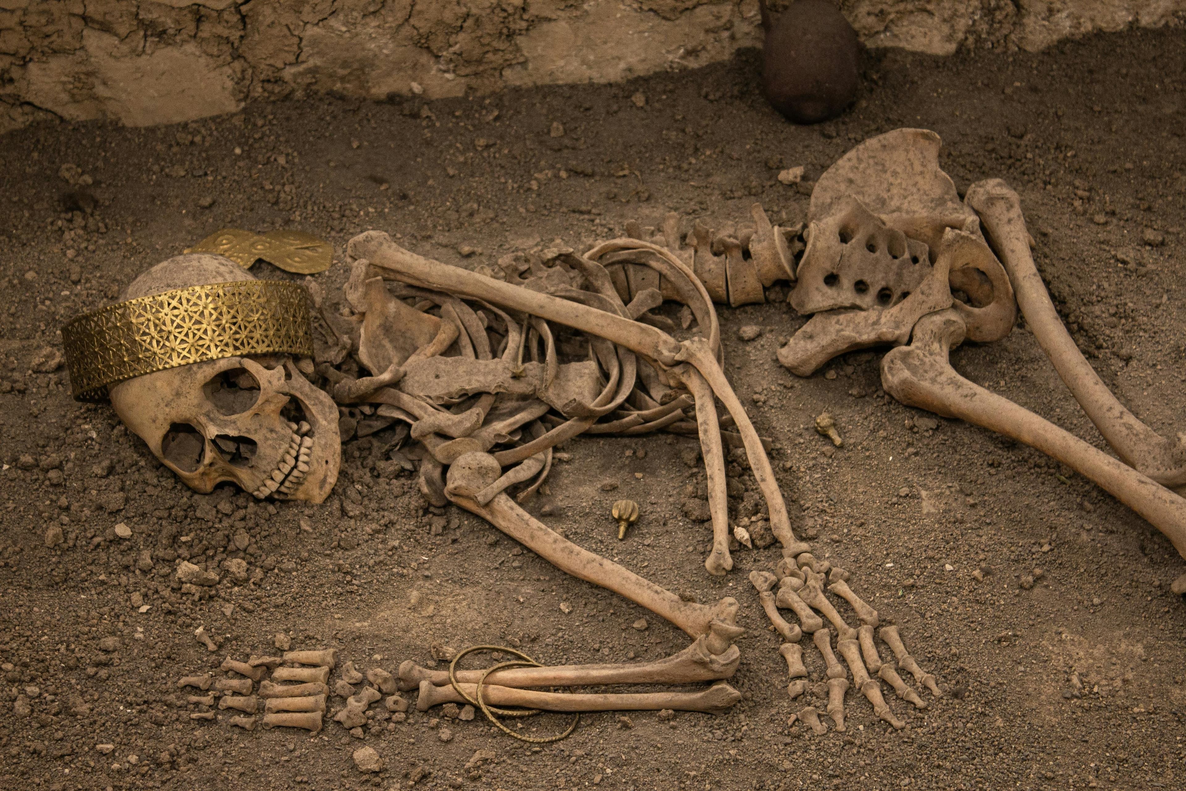 Archaeology with Forensic Science (with Employment Experience) BSc - Uni4edu